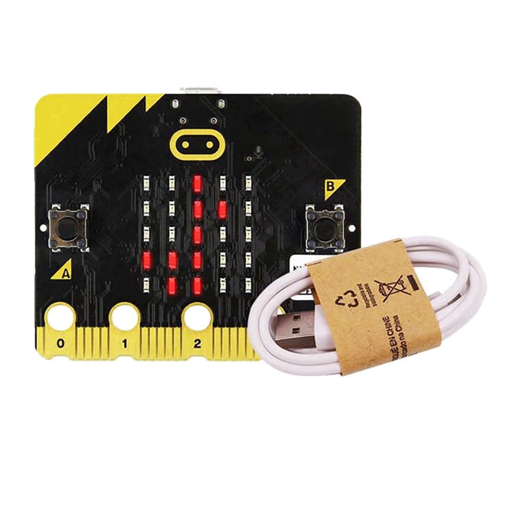 Hot Selling-The Microbit Board - Microbit review and price