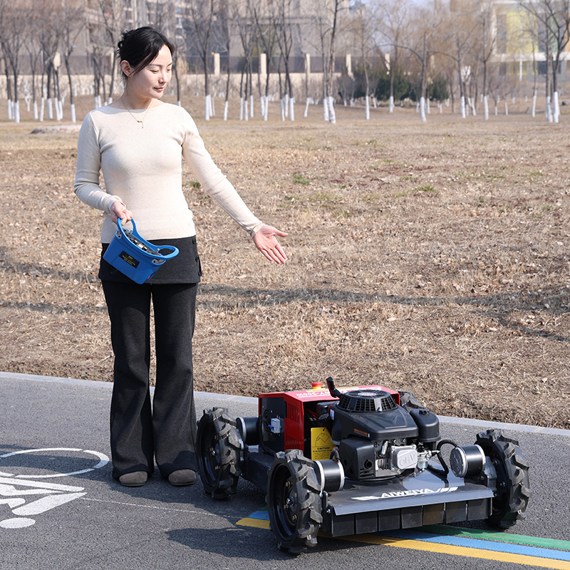 customized Remote Control Robo - Robot Wheel review and price